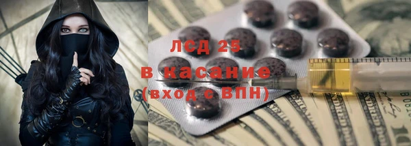 молекула духа Заволжье