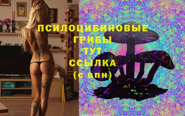 герыч Заволжск